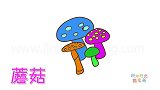 植物简笔画大全，画色鲜艳的蘑菇简笔画