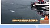 人类捕获的四条巨大的鱼