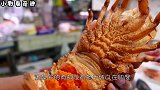 印度1只重达2斤的“龙虾”，还想卖给中国遭拒，现在已泛滥成灾