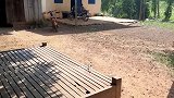 小哥戴面具去见正在睡觉的狗狗