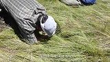 小伙发现奇怪洞穴，丢进去一块奇怪石头，结果太惊喜了！