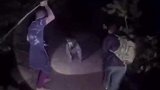 猜猜这是什么动物