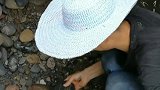 来到山洞里面挖美石，越是不起眼的地方，好东西越多
