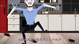 为什么蟑螂不能用脚踩？要是踩了会怎样，看完后背一凉！