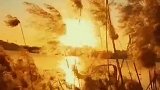 愁客叶舟里，夕阳花水时。