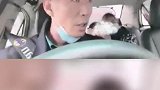 的哥逆行闯红灯5分钟送满头是血男童就医