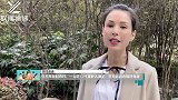 李若彤身材真好，一人吃12寸披萨太满足，坚持运动来保持身材