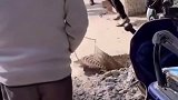 1月25日，广东韶关。居民楼闹鬼？原来“鬼”是一条鱼……  民间实拍 社会百态