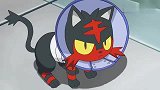 宝可梦：耻辱环戴上了，火斑喵性格好倔强，和小智有点像