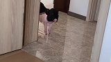 老四说：“这水劲儿也太大了”