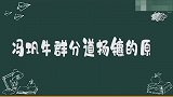 冯巩牛群为何分道扬镳？说出两人矛盾，牛群感慨：我给他磕过头！