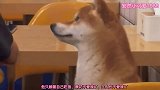 爆笑：我很难过，想发个朋友圈！