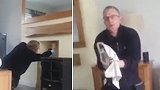英国：被困2周！男子从壁炉烟道里救出一只被困的鸽子