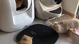自动猫砂盆的正确使用方法……