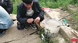 农村小伙钓鱼，才短短几分钟，就收获了一大桶鱼