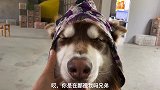 奉劝各位，自制雨衣一定要给屁股挖个洞留足空间，不然