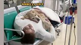 温暖！狗狗在医院绝育后打点滴，主人溺爱将它抱入怀中睡觉