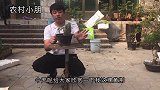 小朋的这盆附石黄荆盆景，须根竟这么多，也算是趁了小朋的心意了
