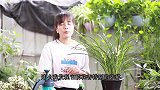 养兰花，只需简单2步，就能让它花香更浓郁