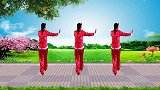 喜庆优美广场舞《欢聚一堂》背面演示和分解双教学，好学好看