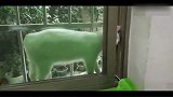 我家猫厉害了!居然一边骂我一边自己把门打开