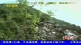 融安泗顶今晨发生山体塌方 省道306线遭阻断