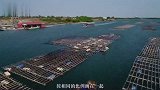 人类连太阳系都走不出去，那银河系的鸟瞰图是从哪里来的