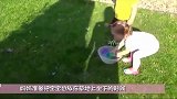 宝宝不能坐草地，否则下一秒就变身体操高手，爸妈都笑破肚皮