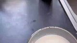 当想喝酸奶但家里只有纯牛奶加了点醋，竟然成功的骗过了嘴巴