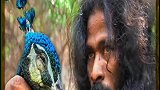 斯里兰卡神秘部落吃孔雀肉