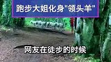 一位在徒步的姑娘，偶遇身后跟着一群羊的跑步大姐