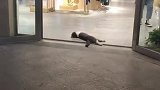 猫：还是商场好，天天可以吹空调！