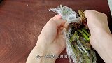 吃了半辈子香椿，这种做法头一次见，果真是高手在民间，涨知识了