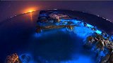 旅游-150109-山东东营现蓝色“荧光海” 犹如蓝色星海