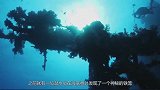 潜水员在潜水时，意外发现，海底有动物被关在铁笼里