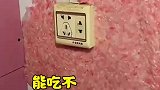 没见过谁家墙这样，能吃吗