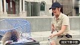 外国恶作剧捕捉动物，在垃圾桶逮到个什么奇怪的东西