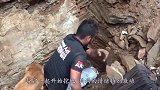 流浪狗幼崽被埋废墟下，好心人徒手刨土救助，镜头记录感人过程！