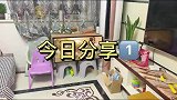 最近忙着孩子忙着自己一切慢慢步入正轨