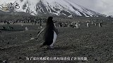 有会放电、放毒的生物，为什么却没有会喷火的生物？