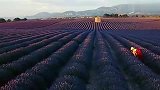旅游-薰衣草之乡.普罗旺斯