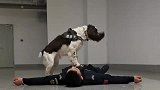 搜救犬做心肺复苏，搞笑却又感动，爱永远存在