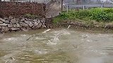 到底发生了什么？门前池塘里的大鱼竟然不停地跳跃，难道里面水很