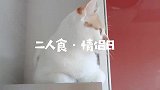 VLOG情侣同居日常  女朋友睡懒觉，而我在做饭