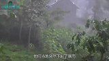 暴雨后河滩突现巨型生物,如果不是亲眼所见,都不敢相信这是真的