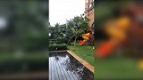 “山竹”台风看傻帕托 酒店内拍视频目瞪口呆