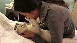 猫咪用爪子抵住女主人不让亲亲，看猫咪是有多嫌弃