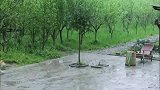 杨紫回应恋爱绯闻，张艺兴紧张到抠脚，黄磊听到瞳孔地震