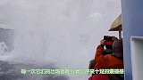 上百头鲸鱼搁浅尸体遍满沙滩场面令人痛心落泪