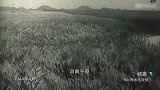 日军进攻河南，国民党军队此时闹内讧，竟使战线全线动摇